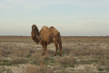 Similar image 21947987