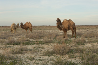 Similar image 21947989