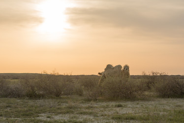 Similar image 21947991