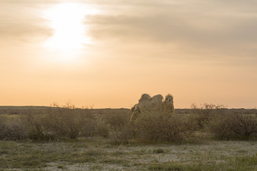 Similar image 21947995