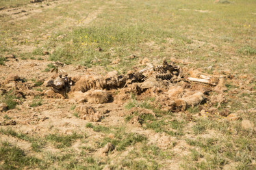 Similar image 21947999