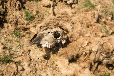 Similar image 21948001