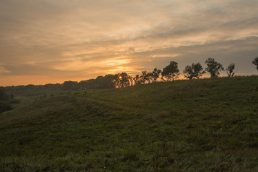 Similar image 21947096