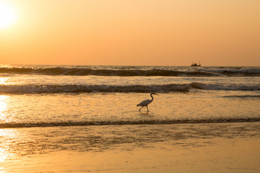 Similar image 21947099