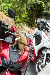 Similar image 21947109