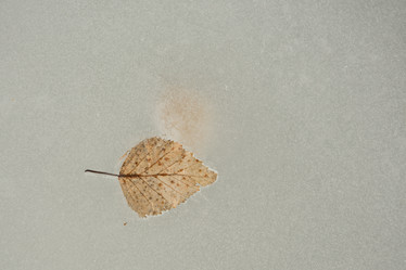 Similar image 21947311