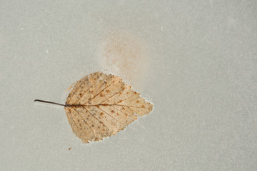 Similar image 21947312