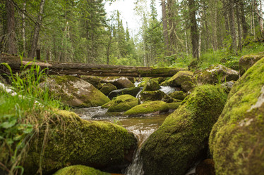 Similar image 21947754