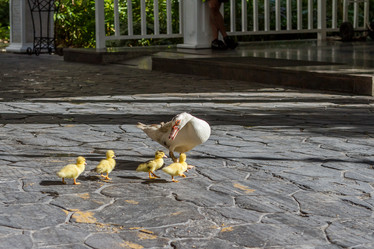 Similar image 21948013