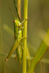 Similar image 21948018