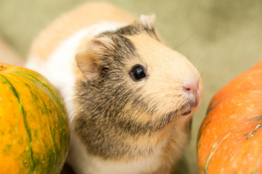 Similar image 21948022