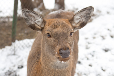 Similar image 21949824