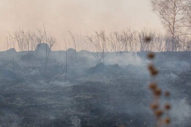 Similar image 21948032