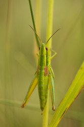 Similar image 21948041