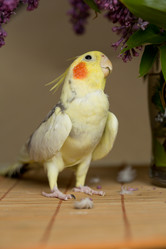 Similar image 21948043