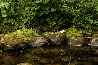 Similar image 21949833