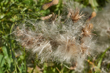 Similar image 21911737