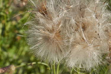 Similar image 21911572