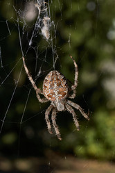 Similar image 21911738