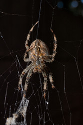 Similar image 21911573