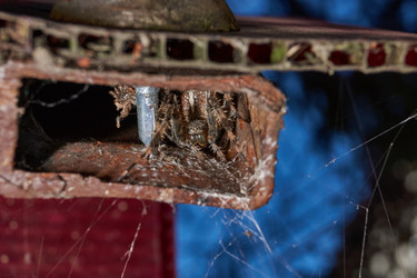 Similar image 21911741