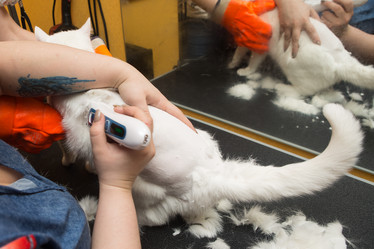 Similar image 21947337