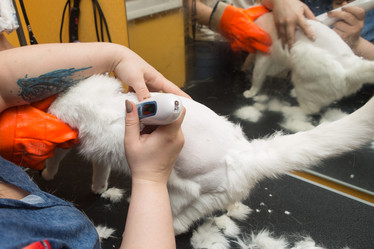 Similar image 21947339