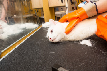 Similar image 21947344