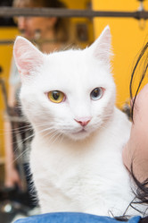 Similar image 21947345