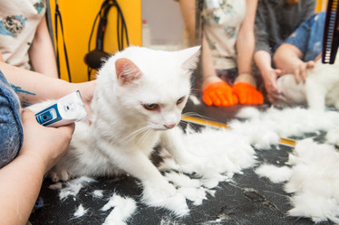 Similar image 21947575