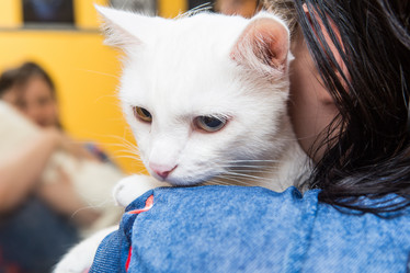 Similar image 21947577