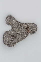 Similar image 21947580