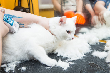 Similar image 21947581