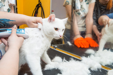 Similar image 21947585