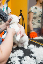 Similar image 21947771