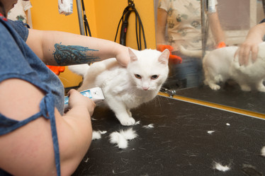 Similar image 21947774