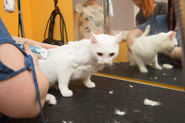 Similar image 21947776