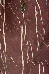 Similar image 21947777