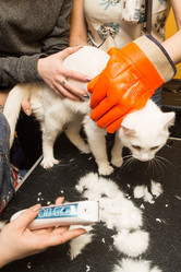 Similar image 21947778