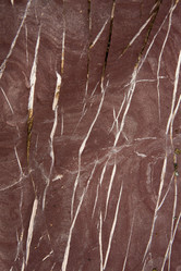 Similar image 21947779