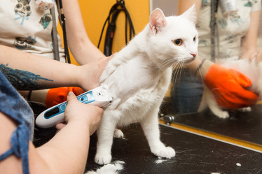 Similar image 21948044