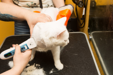 Similar image 21948046