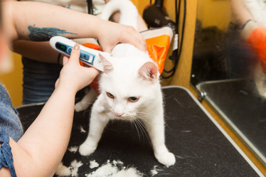 Similar image 21948048