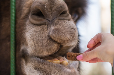 Similar image 21948059