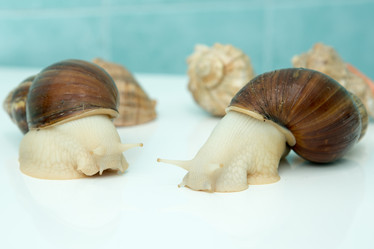 Similar image 21948062