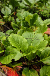 Similar image 21949835