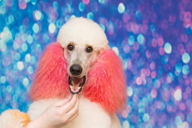 Similar image 21947347