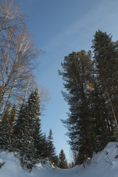 Similar image 21947348