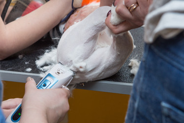 Similar image 21947349