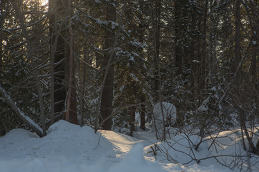 Similar image 21947591